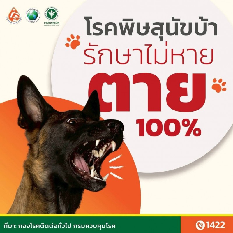 โรคพิษสุนัขบ้า (Rabies)